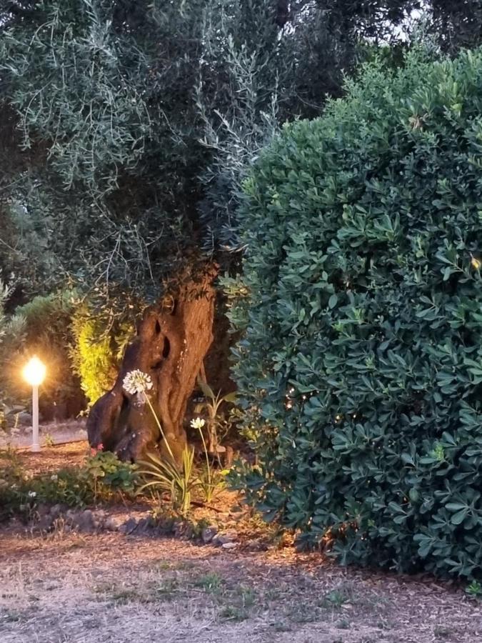 Cozy Corfu Bungalow 5 Minutes To Aqualand Agios Ioannis  Luaran gambar