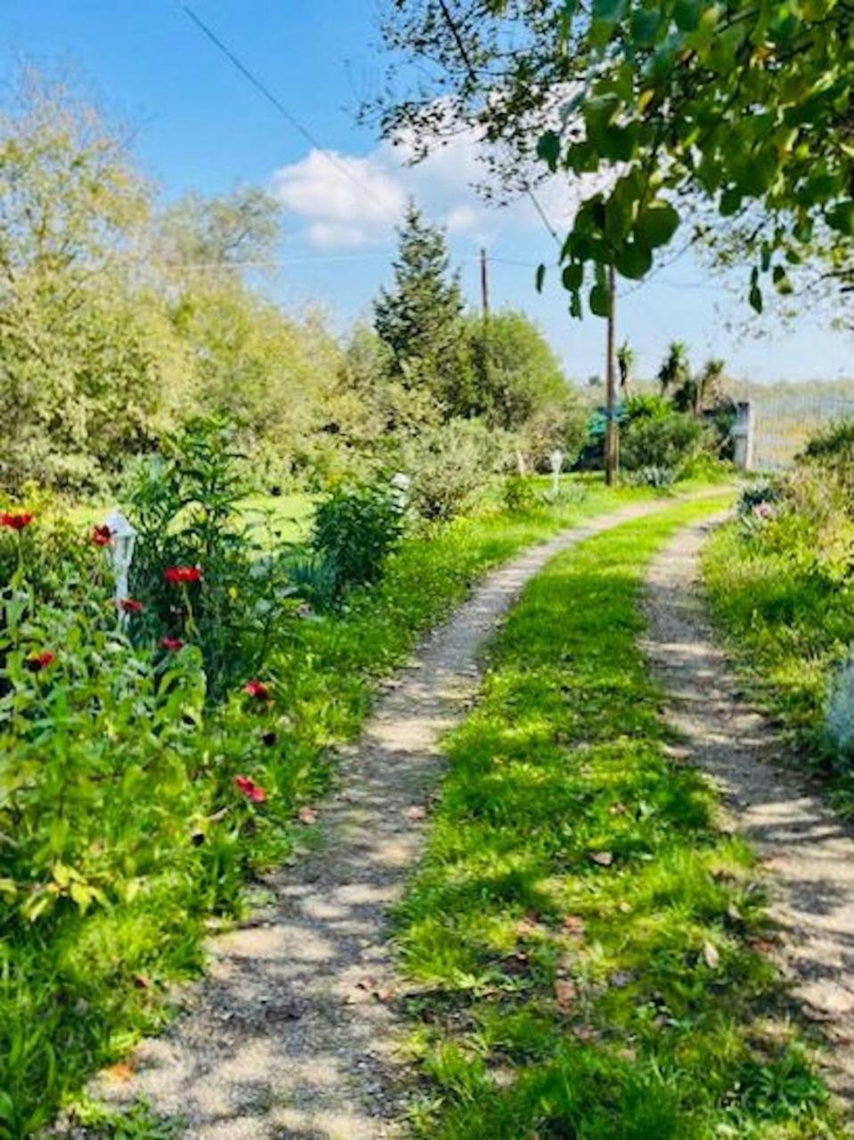 Cozy Corfu Bungalow 5 Minutes To Aqualand Agios Ioannis  Luaran gambar